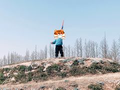 -前小桔亲子创意农场·草莓采摘·露营烧烤