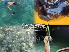 -巽寮湾