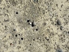 -北海金海湾红树林生态旅游区