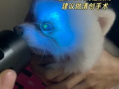 -佳佳动物医院