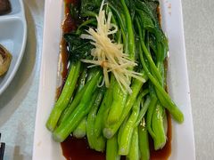 白灼广东菜心-长春观斋补堂素菜馆