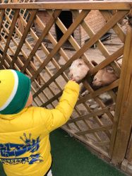 -萌宠亲子动物乐园(槐房万达店)