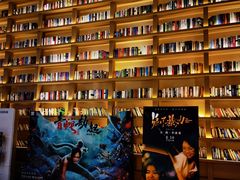 -深影国际影城(学院南路店CGS中国巨幕店)
