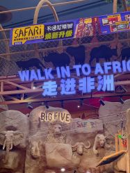 -卡通尼·Safari非洲探索乐园·生日会(金桥国际商业广场店)