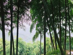-莫干山风景区
