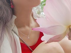 -陈家山荷花公园