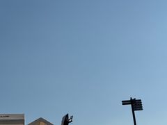 -观潮胜地公园