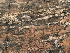 -旧金山现代艺术博物馆