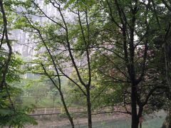 -南溪山景区