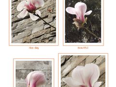 -东华门大街小区