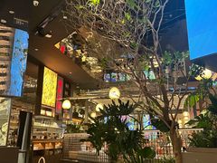 -桂满陇·海市蜃楼·黑金(国金店)