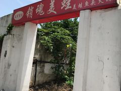 -销魂美蛙鱼头火锅(上海首店)