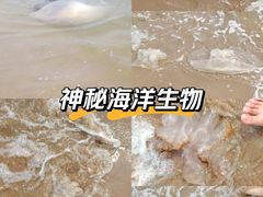 -南戴河国际娱乐中心