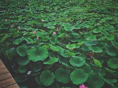 -云龙湖旅游景区