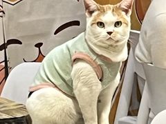 -小时光咖啡馆(北锣鼓巷店)