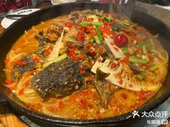 -老板恋上鱼(印象城店)