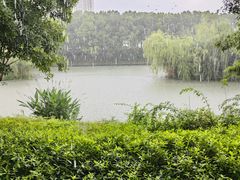 -皇粮浜湿地公园