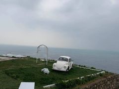 -枸杞岛