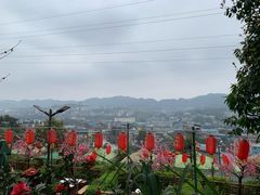 -枇杷园食为鲜火锅(南山店)