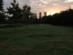 -渭滨公园