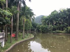 -滴水岩森林公园
