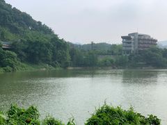 -天鹿湖森林公园