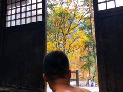 -宁海森林温泉