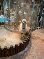 -宝燕乐园(闵行旗舰店)