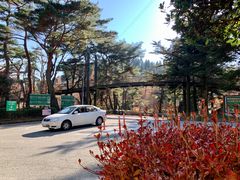 -神户市立六甲山牧场