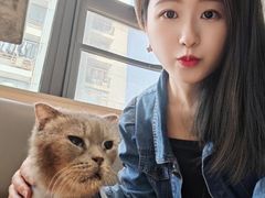 -喵园·猫主题咖啡厅·撸猫·猫咖(国贸店)