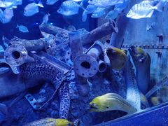 -成都浩海立方海洋公园