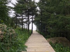 -白草畔自然风景区