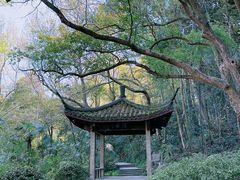 -虎跑公园