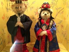 -济州岛泰迪熊博物馆