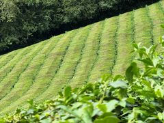 -敬亭山风景名胜区