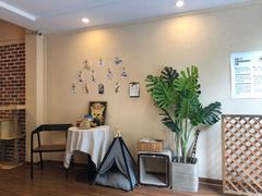-猫友咖啡店(玉林西路店)