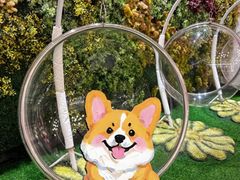 -青水瓦台汤泉(未央店)