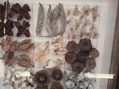 -二酉书店TOYOU BOOKS