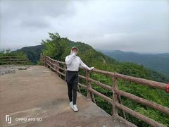 -天女山森林公园