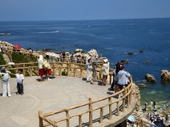 -养马岛旅游度假区