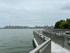 -金鸡湖桃花岛