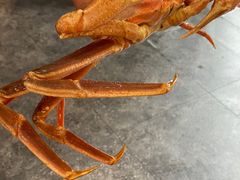 俄罗斯板蟹-南浦洞·炭烤活海鲜·烤肉·延边特色(学府街店)