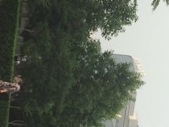 协和医院(东院)-北京协和医院(东单院区)