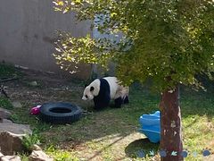 -沈阳森林动物园