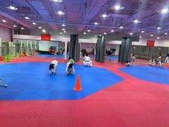 -陈中跆拳道(中关村馆)