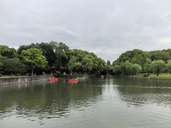 -上海方塔园