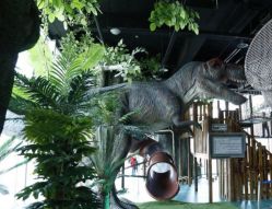 -恐龙探索乐园(磁器口店)