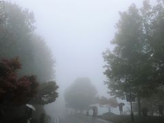 -茶颜悦色(岳麓山顶店)