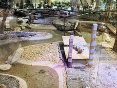 -麒麟中餐厅·经典粤菜·地道菜式老字号(广州长隆酒店)