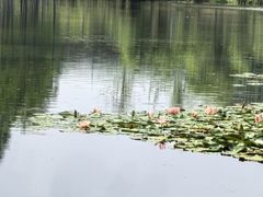 -白鹭湾湿地公园